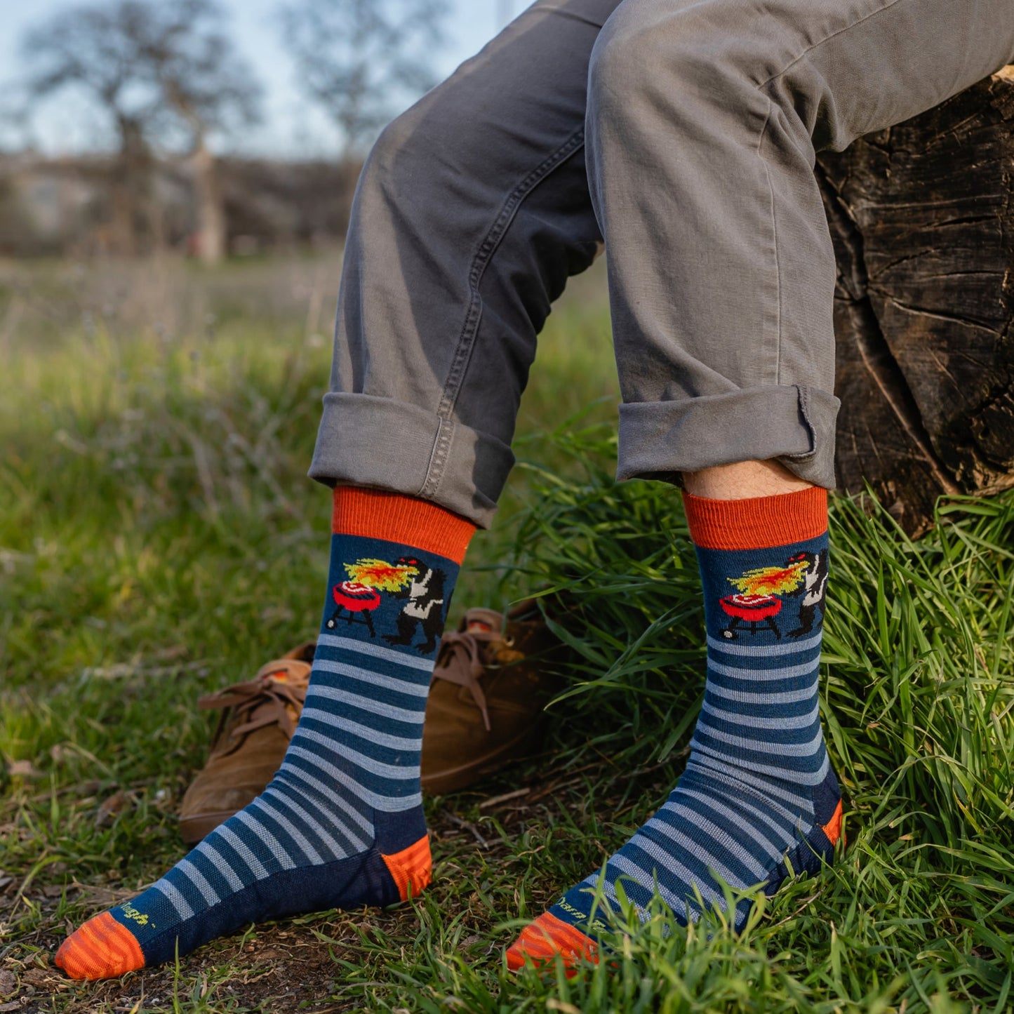 Darn Tough Men's Animal Haus Crew Lightweight Lifestyle Socks