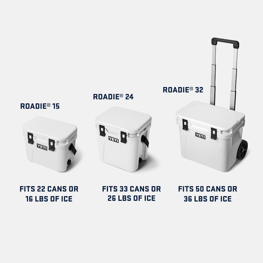 Yeti Roadie 15