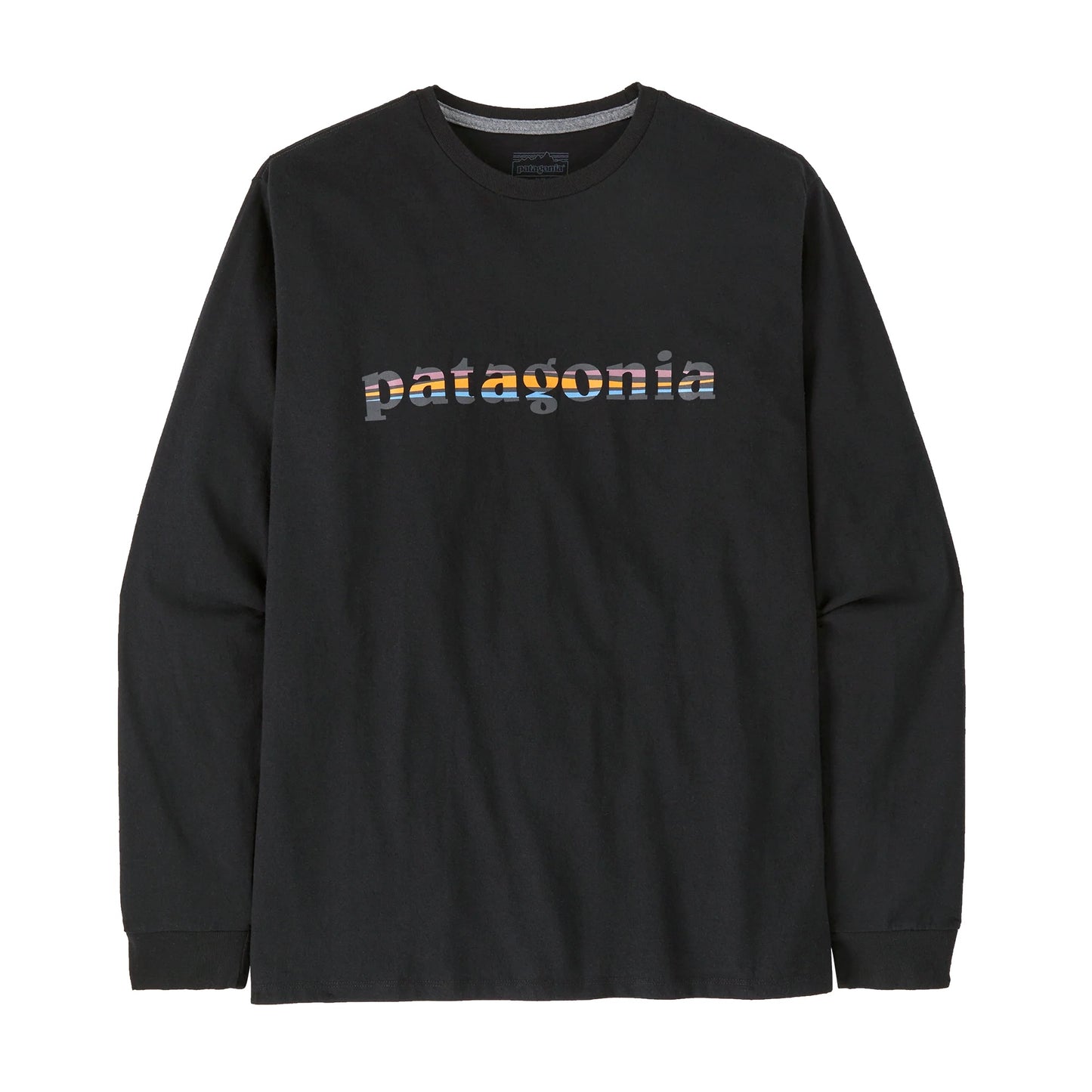 Patagonia Men's Long-Sleeved '73 Text Logo Responsibili-Tee