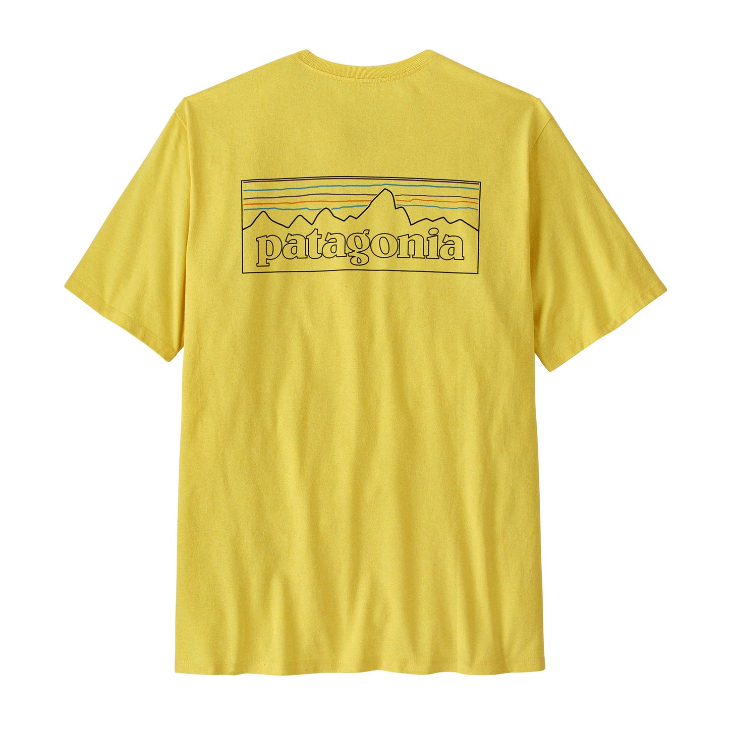Patagonia Men's P-6 Logo Responsibili-Tee