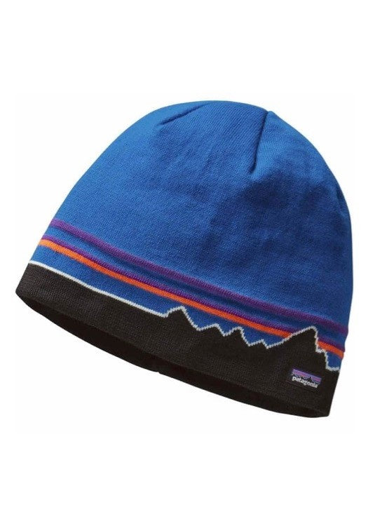 Patagonia Beanie Hat